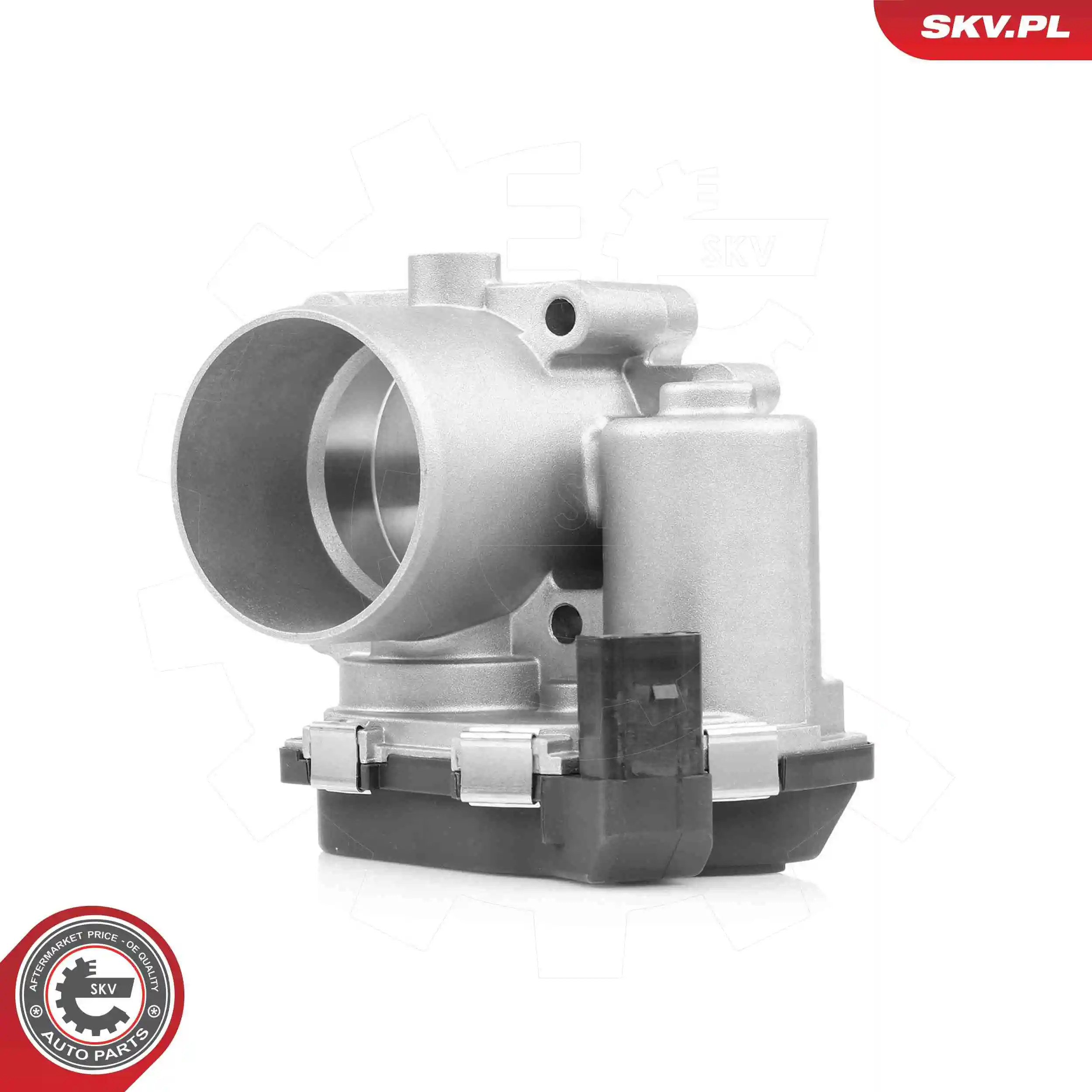 Throttle Body